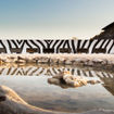 Onguma Safari Camps uses the water-level Onkolo Hide for its Onkolo Soundscapes guided sensory experience.