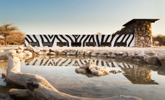 Onguma Safari Camps uses the water-level Onkolo Hide for its Onkolo Soundscapes guided sensory experience.