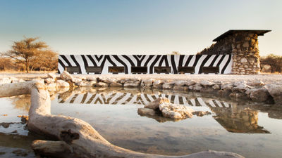 New Onguma Safari Camps offering heightens the African bush experience