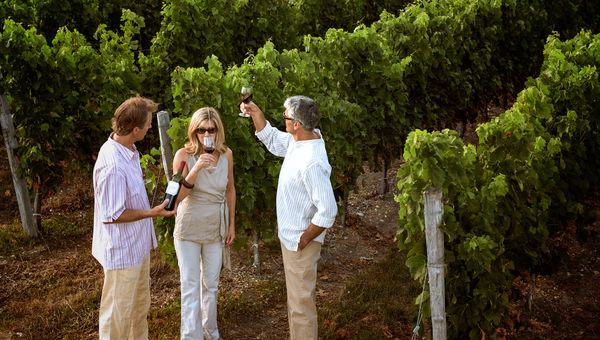 Gen X river cruisers on a vineyard tour. Gen X river cruisers on a vineyard tour.