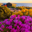 Namaqualand, located in South Africa's Northern Cape Province, is experiencing what experts are calling a "superbloom" due to recent record rainfall.