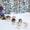 A family on a dogsledding expedition in Sweden with Pelorus Travel.