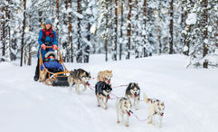 A family on a dogsledding expedition in Sweden with Pelorus Travel.