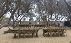 Hotel Solea imported olive trees from Italy to create an outdoor dining space.