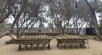 Hotel Solea imported olive trees from Italy to create an outdoor dining space.