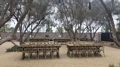 Hotel Solea imported olive trees from Italy to create an outdoor dining space.