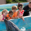 Sea Life Park allows visitors and residents to learn about Hawaii's marine life.