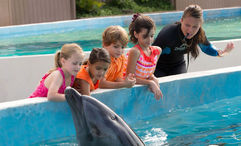 Sea Life Park allows visitors and residents to learn about Hawaii's marine life.