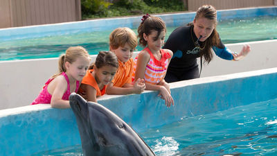 Sea Life Park allows visitors and residents to learn about Hawaii's marine life.