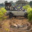 Safaris go electric. What that means for guests, and wildlife