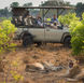 Lions are spotted from one of Green Safaris' electric game-viewing vehicles.