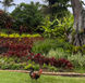 One of Kauai's famous roosters took a stroll the day after remnants of Hurricane Lala blew through the islands. Tourism has mostly returned to normal, though some areas of the Big Island were damaged.