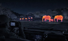 Travelers encounter a family of elephants after dark during Tintswalo's new Thermal Night Safari in the Greater Kruger area.