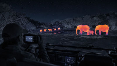 Travelers encounter a family of elephants after dark during Tintswalo's new Thermal Night Safari in the Greater Kruger area.