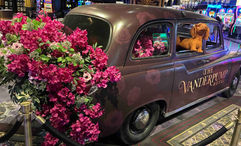 Vanderpump Hotel’s casino features chandeliers, art and other elements to build an “industrial romantic” style.