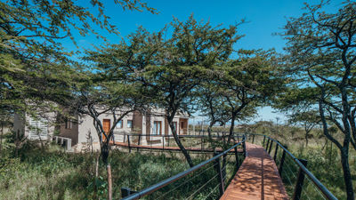 The exterior of Zamara Private, Great Plains' new six-suite villa on the edge of Kenya's Maasai Mara National Reserve.