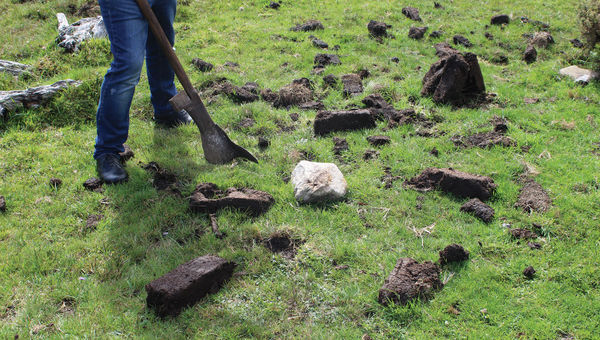 Guide Stephen O'Sullivan shows the tour group how to cut peat. Guide Stephen O'Sullivan shows the tour group how to cut peat.