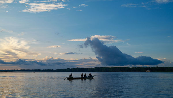 Looking out at the horizon on the Peruvian Amazon. Looking out at the horizon on the Peruvian Amazon.