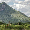 Intrepid Travel developed five new itineraries that feature some of the destinations, including Samburu National Reserve in Kenya.