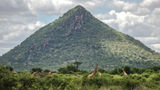 Intrepid Travel developed five new itineraries that feature some of the destinations, including Samburu National Reserve in Kenya.