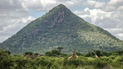 Intrepid Travel developed five new itineraries that feature some of the destinations, including Samburu National Reserve in Kenya.