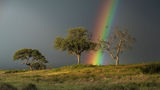 A rainbow breaks over the grassland after a storm passes through Khaudum National Park in Namibia.