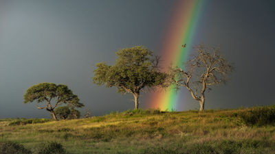 A rainbow breaks over the grassland after a storm passes through Khaudum National Park in Namibia.