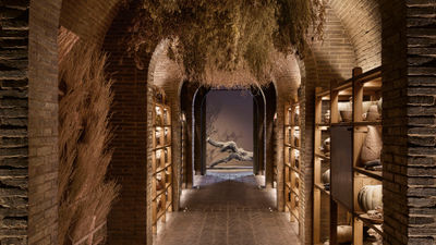 The brick-vaulted root cellar at Boscia, Tswalu Kalahari's new restaurant, leads to a gallery with a bronze shepherd's tree by sculptor Nic Bladen.