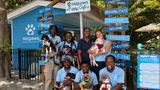 Rescue dogs are available for adoption at the cafe.