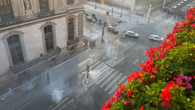 Louvre shuts during ongoing protests in France; prime minister urges a curfew