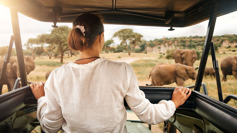 Safari Portal is not just for advisors planning safaris.