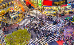A view of Shibuya Crossing in Tokyo, one of the busiest crosswalks in the world.
