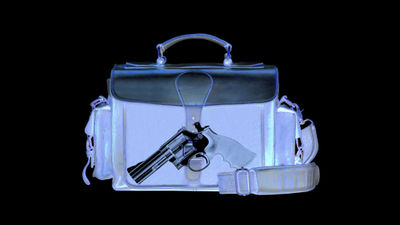 TSA screeners intercepted a record 5,972 guns in 2021, 86% of which were loaded.