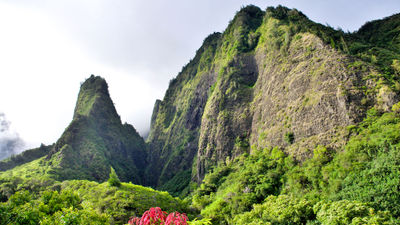 The Iao Needle rises 1,200 feet in Maui's Iao Valley State Monument.