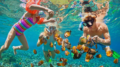 Signature Travel Network said family travel is a key market.