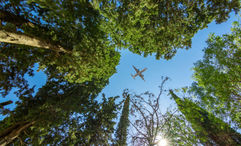 Sustainable aviation fuel (SAF) production will double this year, according to a newly released IATA estimate.