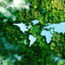 TTC launches carbon fund to reach net zero