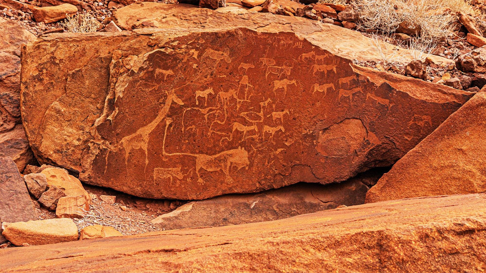 Bushman engravings and rock paintings, some dating back 10,000 years, can be found at Twyfelfontein, in Namibia's Damaraland region.