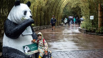 The Smithsonian's attractions, including the national zoo, have closed amid the federal government shutdown.