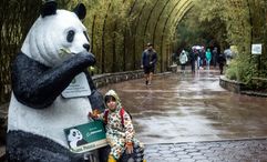A young visitor at Smithsonian's National Zoo during "Panda Palooza: A Giant Farewell," a weeklong celebration in September.