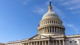 The U.S. capitol.