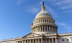 The U.S. capitol.