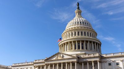 The U.S. capitol.