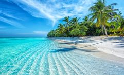 A beach in the Maldives.