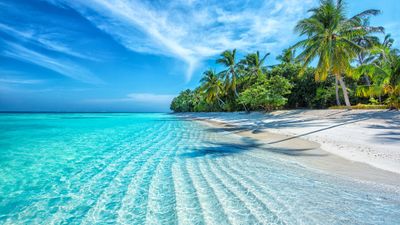 A beach in the Maldives.