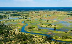 Botswana's Okavango Delta.