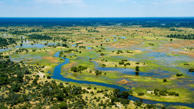 Botswana's Okavango Delta.