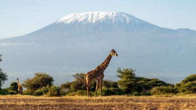 AdventureWomen is offering a chance to ring in 2027 on the peak of Mount Kilimanjaro.
