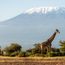 AdventureWomen offers Patagonia, Kilimanjaro among 2027 tours