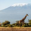 Kenya is one of Selara Africa's destinations.